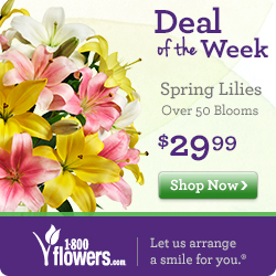 DEAL of the WEEK! Check out all of this week's great deals on Flowers and Gifts at 1800flowers.com! Order Now (offer available only while supplies last)